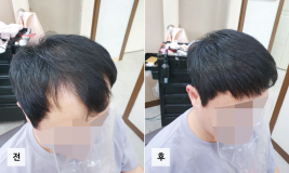 갤러리